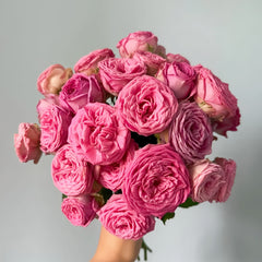 A bouquet of vibrant pink roses held by a hand against a plain light gray background.
