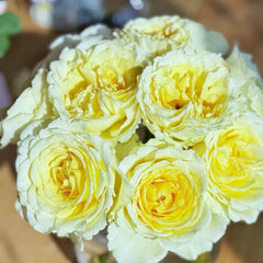 Liuxinsu Rose