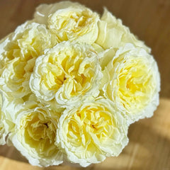 Liuxinsu Rose