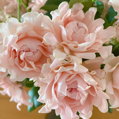 Maria Callas Rose 