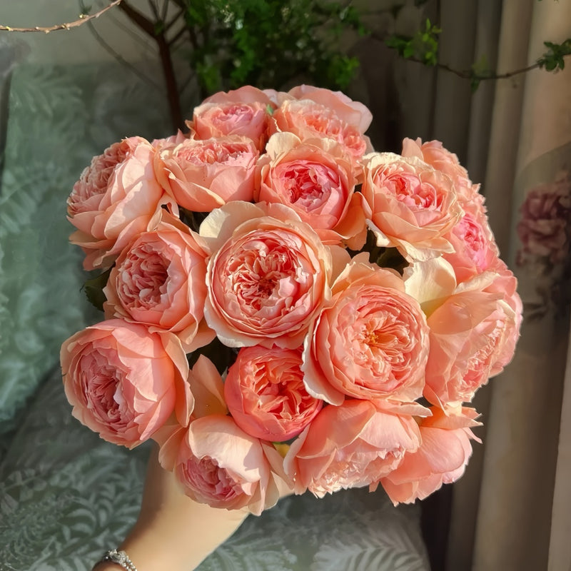 Masora Rose