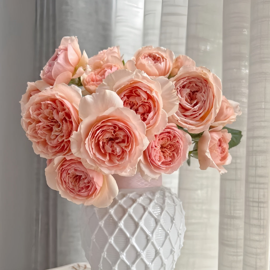Masora Rose – Japanese Apricot-Pink Rose with Fruity Fragrance – Rose ...