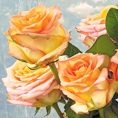 Mighty_Rose