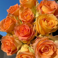 Mighty_Rose