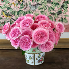 Wedding Rose Gift Set – Effie, Millicent & Hettie Roses