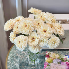 Mowe Rose Plant|海鸥