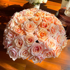 Nami Rose Plant|娜美