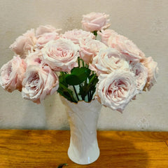 Norma Jean Rose