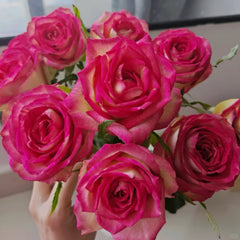 Norway forest Rose Plant