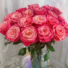 Nuoyan Rose