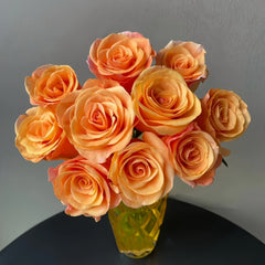 OrangeCatRosePlant