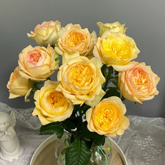 Osmanthus Chestnut Crispy Rose Plant|桂花栗子酥
