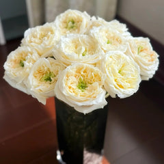 Pearl Drift Rose 