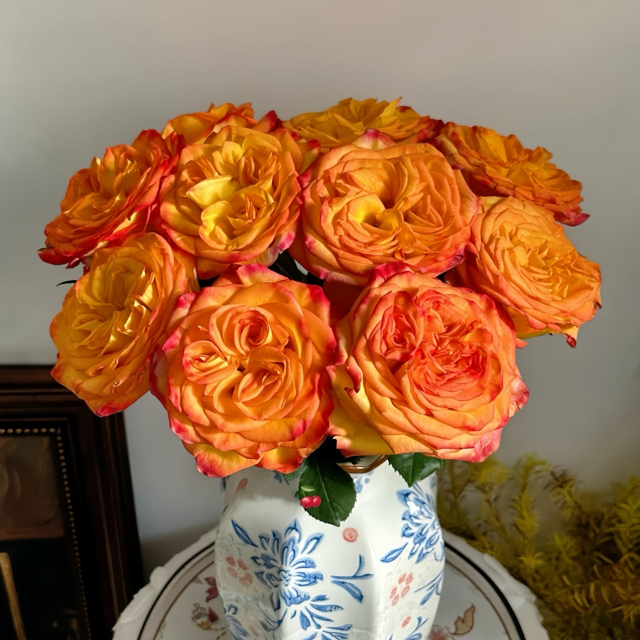 Tree Phoenix Tail Roses Phoenix Hairpin Rose Plant|凤凰钗 – Rose_Explosion