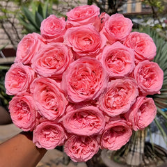 A dense bouquet of vibrant pink roses held by a hand, with a blurred outdoor garden background.