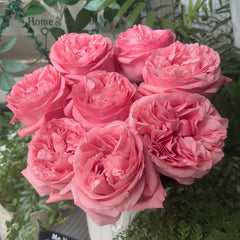 PinkStreetscapeRose