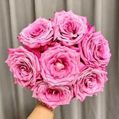 Powder Blue Glaze Rose Plant