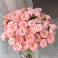 Princess Lulu Rose