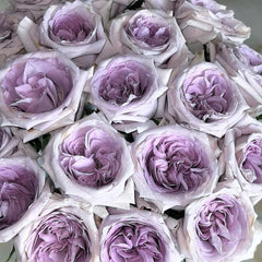 Purple Lychee Rose