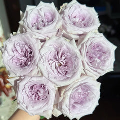 Purple Lychee Rose