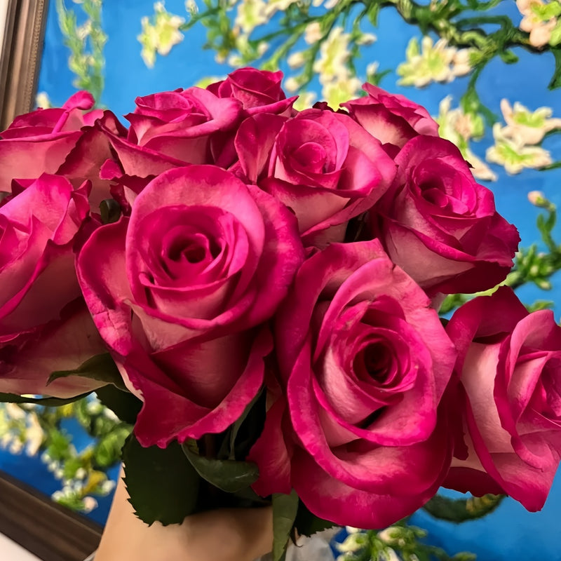 Purple Cezanne Rose Plant