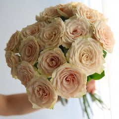 Light champagne-coffee Quicksand rose with tall cup-shaped bloom, firm petals, long stems, and lush green foliage.