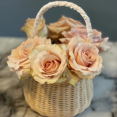 Light champagne-coffee Quicksand rose with tall cup-shaped bloom, firm petals, long stems, and lush green foliage.