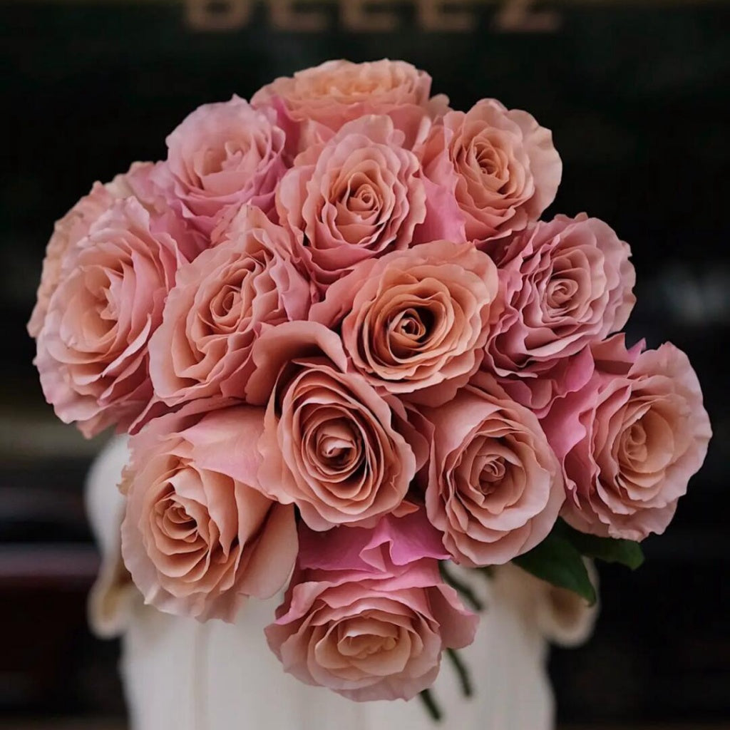Moab Rose: Desert-Inspired Brown-Cream Rose | Rosaprima® – Rose_Explosion