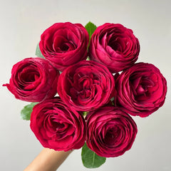 Red Lace Rose