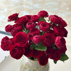 Red Lace Rose