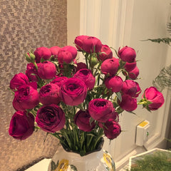 Red Lace Rose