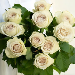 Requiem_Rose