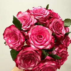 Ripasso Rose