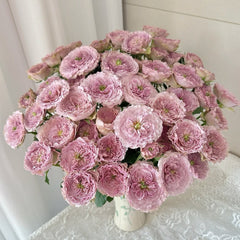Ritual Rose|仪式玫瑰