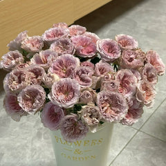 Ritual Rose|仪式玫瑰