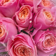 Rosa Loves Me Rose 06
