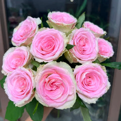 Silk Road Rain Rose