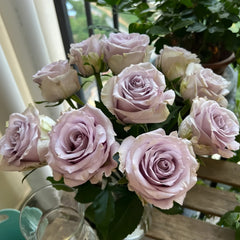 Sivery Light Rose