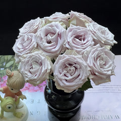 Sivery Light Rose