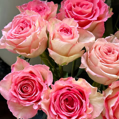 Bouquet of pink roses with a blurred background-Spring Ballet Rose Plant