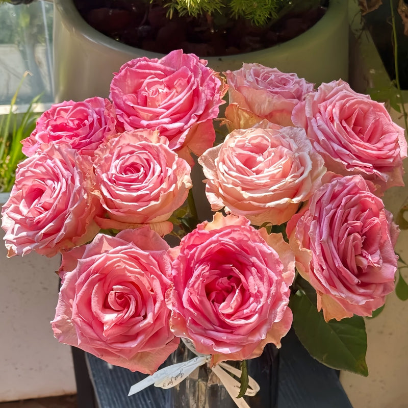 Bouquet of pink roses with a blurred background