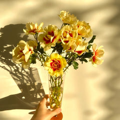 Sunset Babylon Eyes Rose Plant