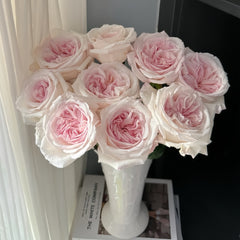 Swan Lake Rose