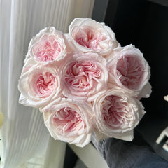 Swan Lake Rose