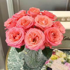 Sweet Mama Rose Plant