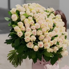 Talea Rose Plant|复古达利亚