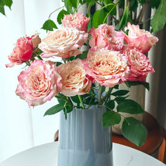 Taolesi Rose Plan