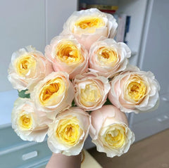 Teressa Rose