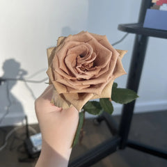 Toffee Rose