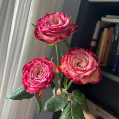 WatercolorPenRosePlant